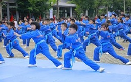 Ảnh tham khảo hoạt động võ thuật